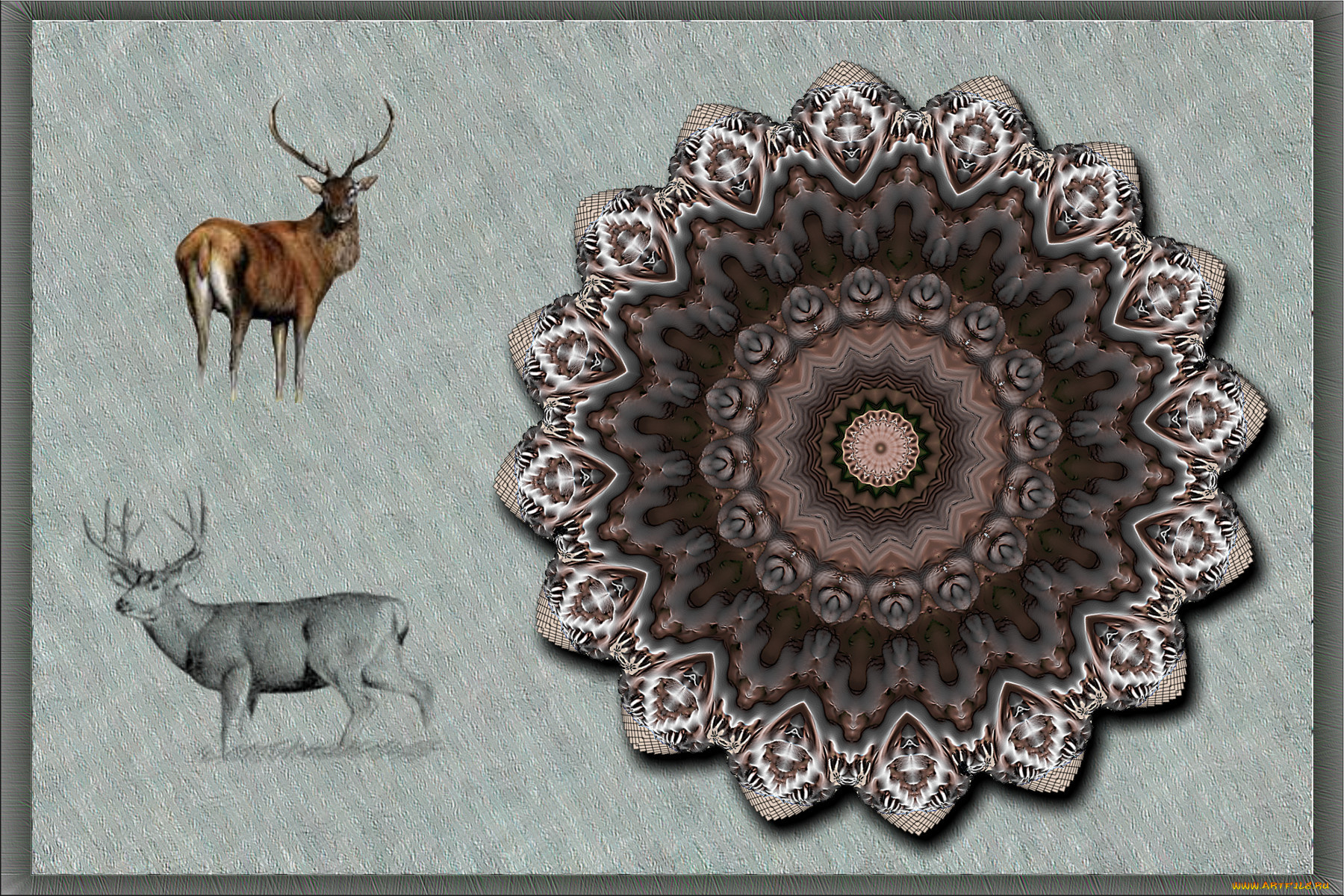 3, , fractal, , , 